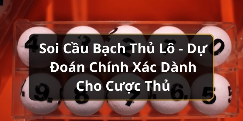 Soi Cầu Bạch Thủ Lô - Dự Đoán Chính Xác Dành Cho Cược Thủ